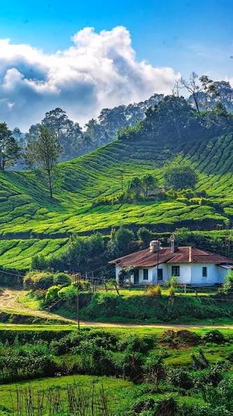 Kerala tour package