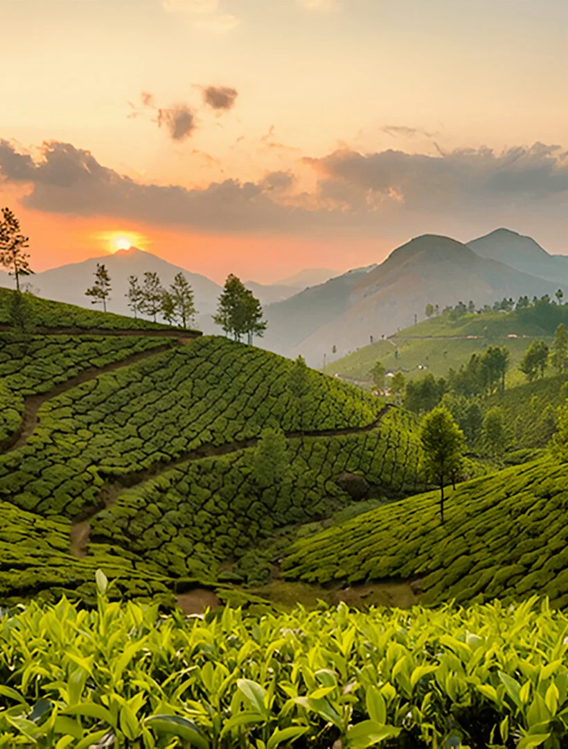 Munnar
